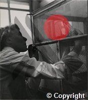 Miss Wall, in charge of the insectory at the Ross Institute, is catching mosquitoes through a suction tube. She works in a temperature of 80 degrees F