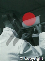 A staff member in a laboratory