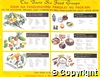 'The Basic Six Food Groups' poster produced by the Institute of Nutrition, Manila for the World Health Day celebrations, 1957.