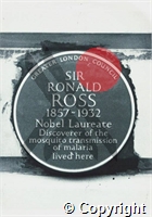 Blue plaque awarded by Greater London Council for Ross