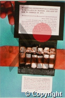 Photograph of glass vials containing mosquitoes experimentally infected with filaria by Manson and sent to Cobbold in 1879.